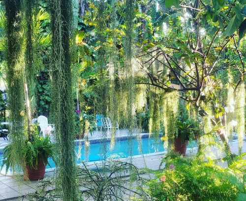 Norbrook Casa | Orchid Cottage