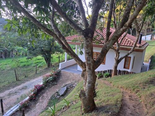 Monteiro Lobato Casa | Orobó Kaá - entre a floresta e a vida no campo