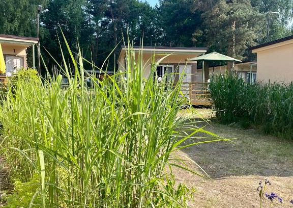 Firlej Complejo | Osrodek Wypoczynkowy Flora