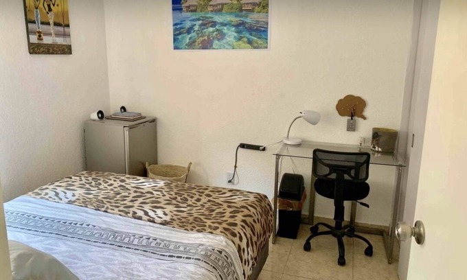 Coyoacan Apartamento | Descripción del apartamento
