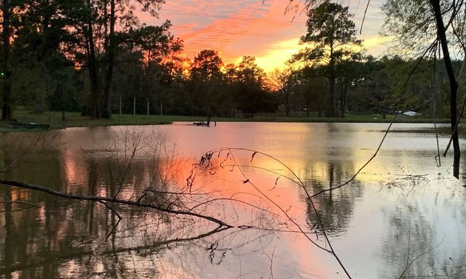 Willis Casa | Our Happy Place Farm - 2 Bedroom Cabin near Lake Conroe