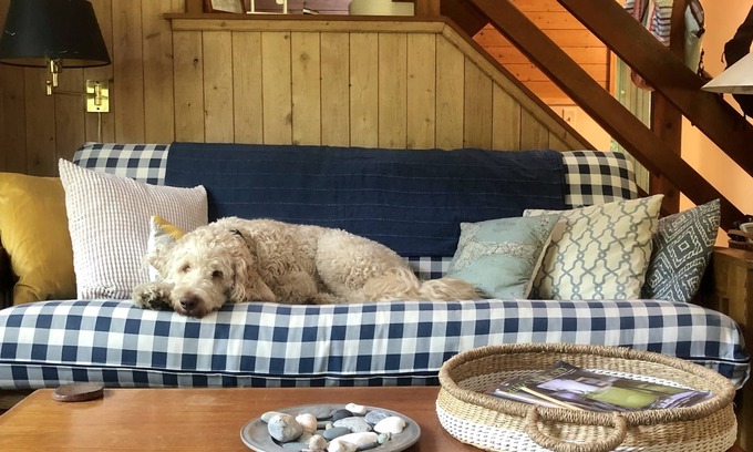 East Sandwich Casa | Nuestro hogar de Cape Cod que admite mascotas lejos de casa