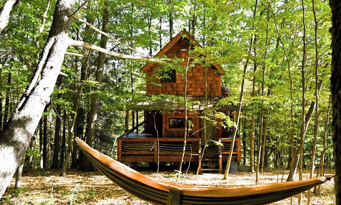 Argyle Cama Y Desayuno | Out On a Limb — A Magical Treehouse Experience