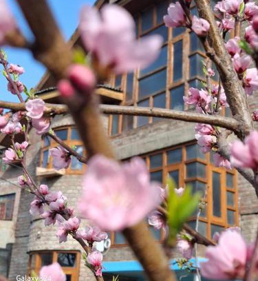 Srinagar Apartamento | Outsaw cottage