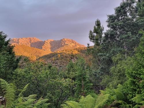 Queenstown Casa | Owen Cottage Queenstown Genuine Comfort and Views