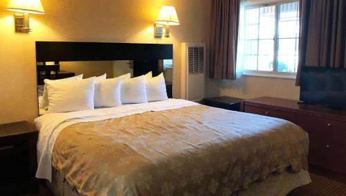 Cow Hollow Hotel | Pacific Heights Inn