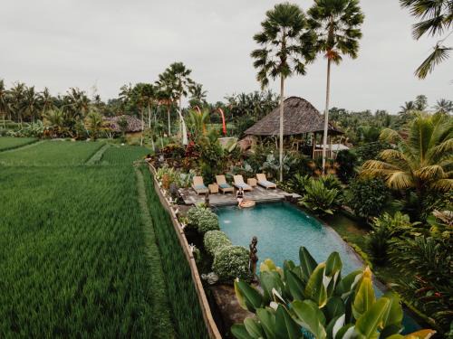 Payangan Complejo | Padi Bali Retreat