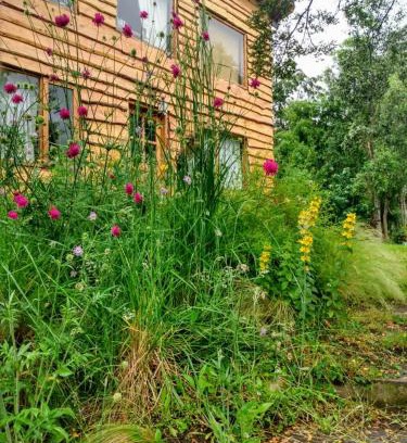 La Villa Casa | Paisaje Nativo