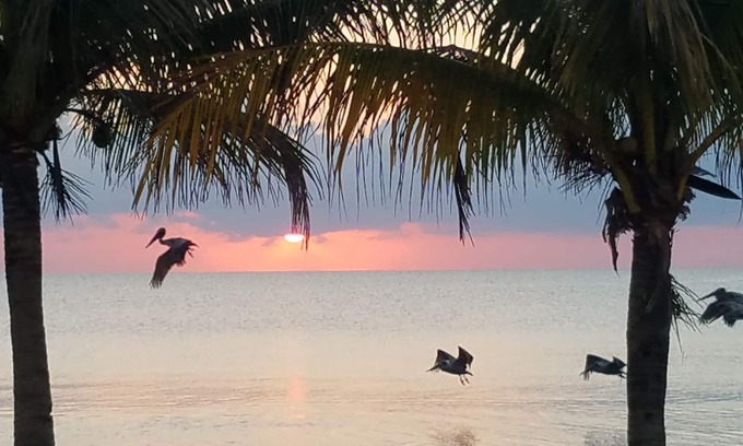 Dangriga Hotel | Pal's on the Beach - A Gold Standard Hotel