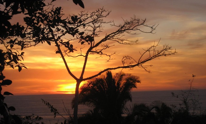 Sayulita Casa | Palapa Papalillo en Selva del Mar