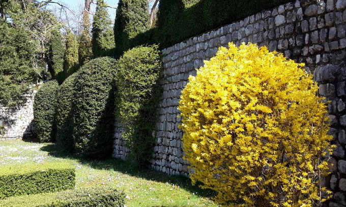 Polcenigo Cama Y Desayuno | Palazzo Scolari B&B