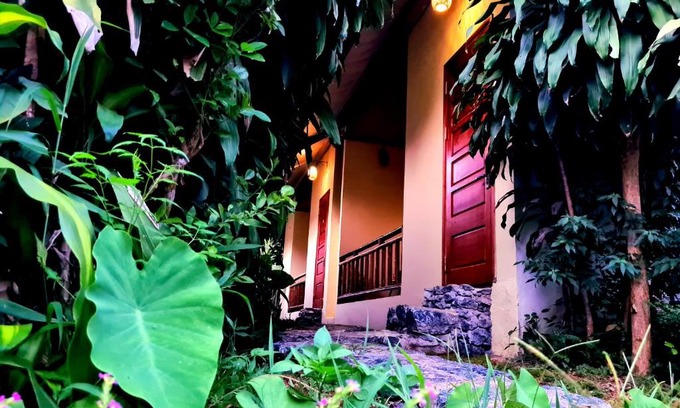 Ha Giang Casa | Palm Hill Chalet
