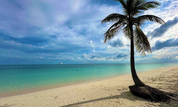 Williams Town Condominio | Palm Tree Cove - Stunning Partial Ocean Views; Beachfront Location!
