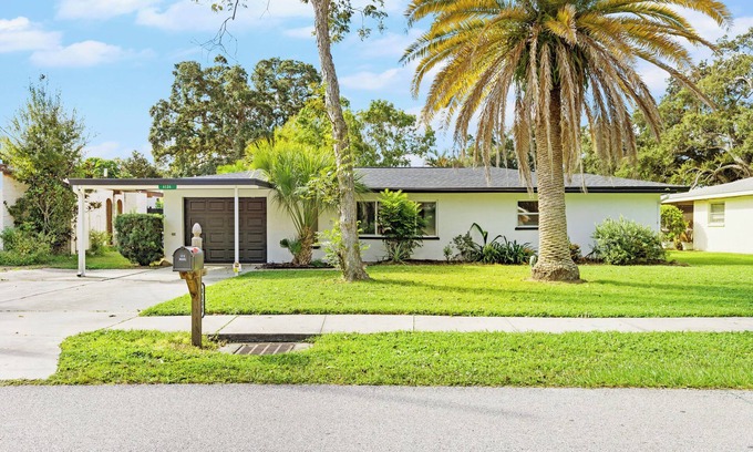 Pinecraft Casa | Palm Tree Haven