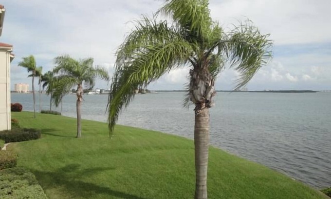 Palma del Mar Condominio | Palma Get Away from It All...'Stay Salty'
