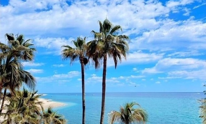 Buenavista Apartamento | Paloma Jr. Suites 2nd Floor 2-rooms -patio & ocean view