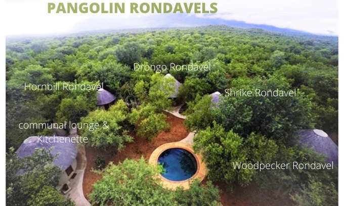 Maruleng Cama Y Desayuno | Pangolin Rondavels - Shikwari Nature Reserve