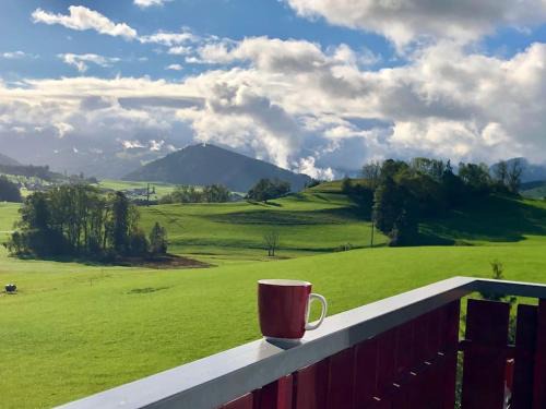 Stiefenhofen Apartamento | Panoramablick