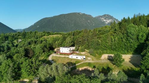 Zarnesti Villa | Panoramic Paradise Estate - Sauna & Pool