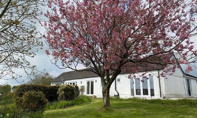Llanfairpwllgwyngyll Apartamento | Panoramic tranquility