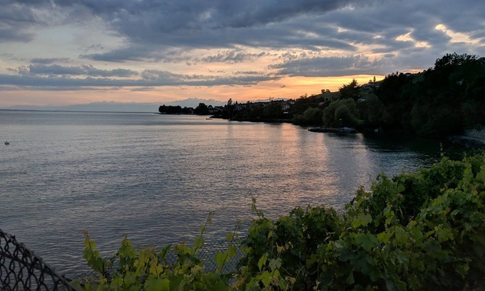 Bourg-en-Lavaux Casa | Vistas panorámicas del lago en medio de la región vinícola