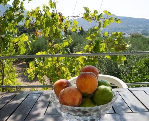 Panormos Casa | Panormos,Irene's studios