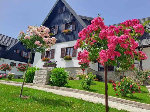 Plitvica Selo Casa | Pansion Breza