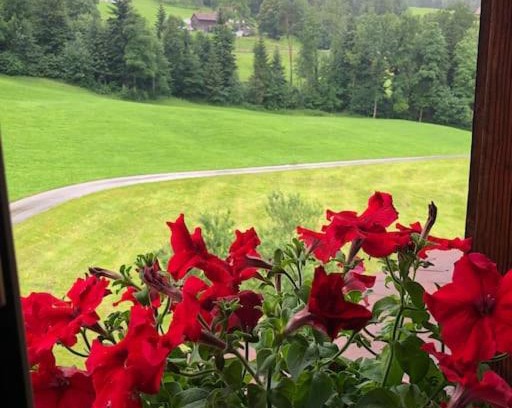 Neckertal Apartamento | Paradies für Gäste mit Parkplatz und Frühstuck