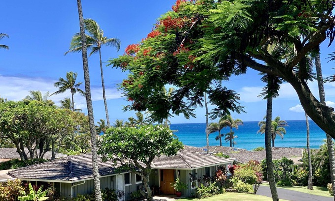 Napili Casa | Paradise at Alaeloa - Swim with the Turtles!