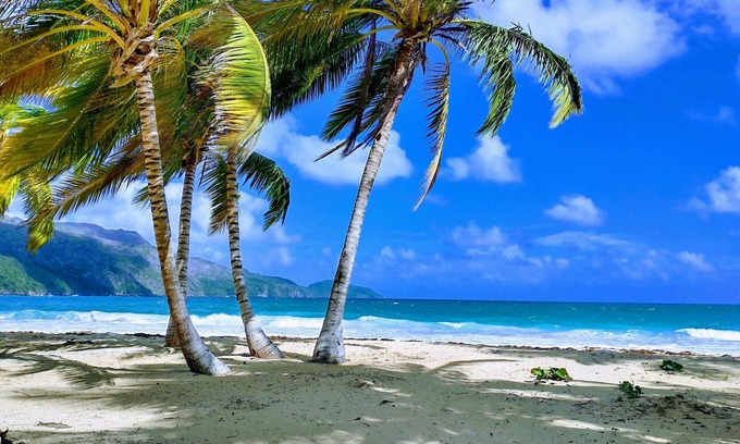Puerto Bahia Villa | Paradise by the Sea Tropical Private Pool Villa,Playa Coson,6,NEW LIST DISCOUNT