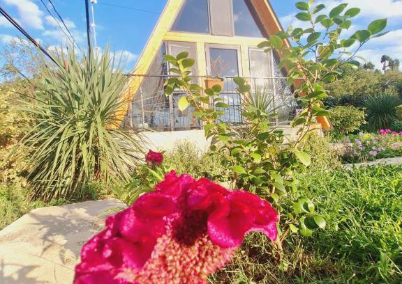 Kobuleti Apartamento | Paradise cottage