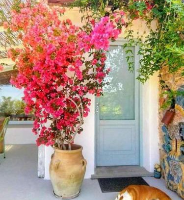 Frascinelle Casa | Paradiso verde a poca distanza dal mare