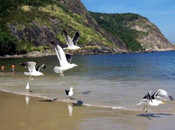 Niteroi Casa | Paraiso de Itaipu
