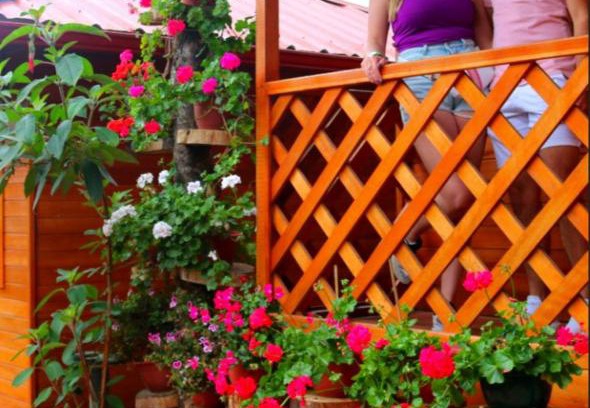 Banos de Agua Santa Cama Y Desayuno | Paraiso Orquideario