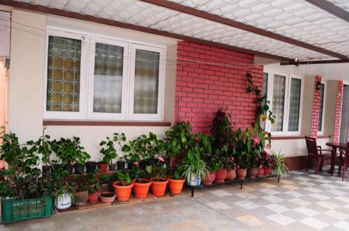 Attadi Casa | Park corner Home stay