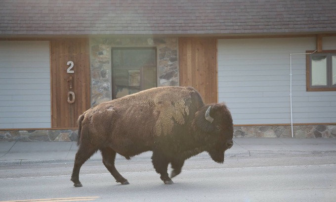 Gardiner Apartamento | Parques Riverside A en Gardiner, Mt entrada norte a Yellowstone