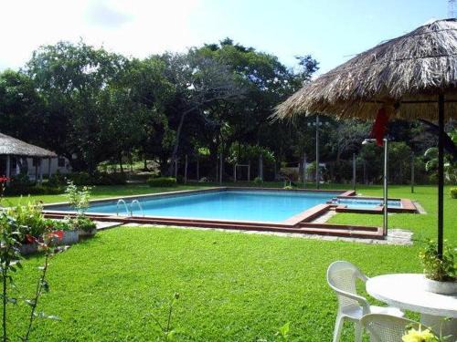 Morro Azul Hotel | Parque Hotel Morro Azul - a 12 km do Parque dos Dinossauros