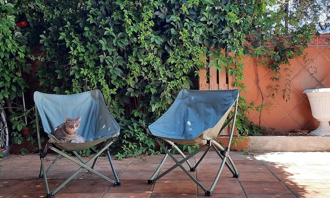 Barrio de la Vega Condominio | Patio Tipique Andalous, à 10 mnt de L'alhambra, Animaux de Compagnie Acceptés