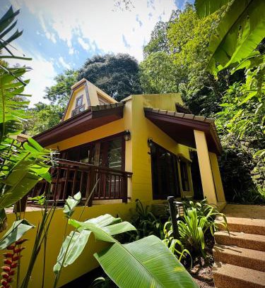 Patong Casa | Patong Beach森林屋111