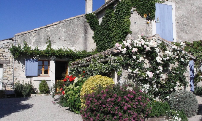 Vaison-la-Romaine Cabaña | Tranquilidad en medio de viñedos en el corazón de la Provenza