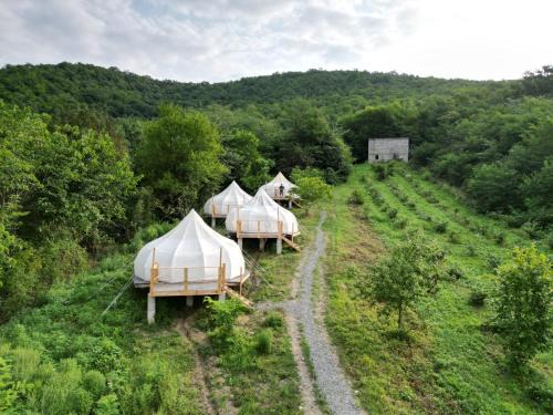 Kvareli Otro | Peace Camp Gremi