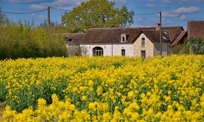 Villedieu-le-Chateau Otro | casa de campo tranquila, rodeado de campos y bosques, la comodidad reformado
