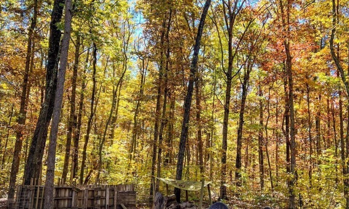 Lupton City Casa | Peaceful Hilltop Cabin.L, backs up to Prentice Cooper within min. from downtown