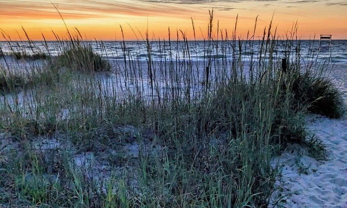 Fernandina Beach Condominio | Charming Beach Condo Steps to Sand Pet-Friendly Pool & Tennis Access