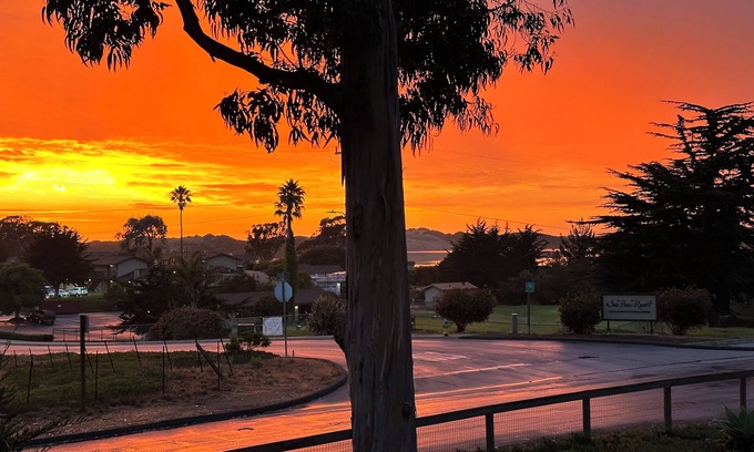 Baywood-Los Osos Apartamento | Peaceful Suite by the Bay Pet-Friendly