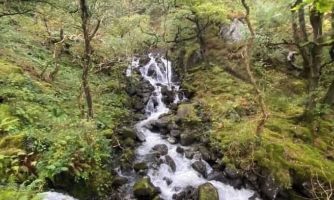 Bryn-crug Casa | Peaceful, woodland caravan site with pool and bar
