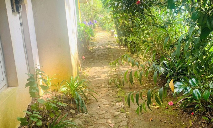 Nuwara Eliya Cama Y Desayuno | Pedro Stay