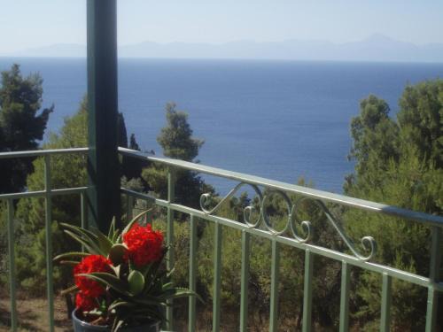 Stafylos Apartamento | Pelagos