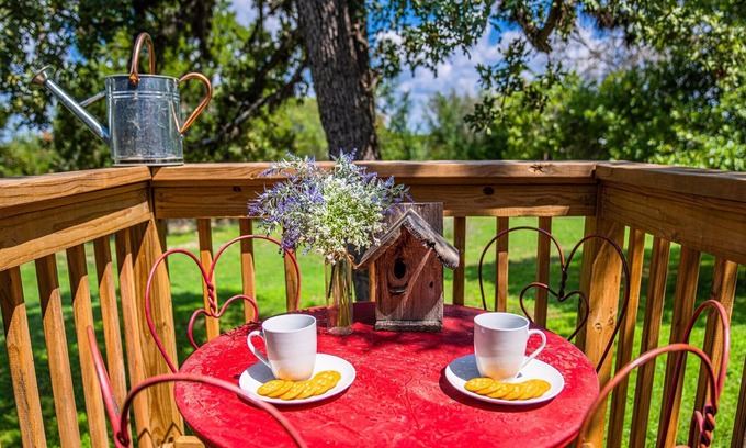 Bandera Casa | Pelican Haus - Mid-Century Modern <2 min from town!