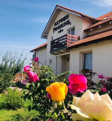 Cristian Casa | Pensiunea Artemis